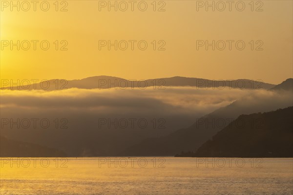 Morning Fog on the Danube