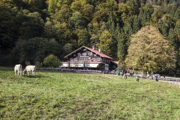 Berggasthof Giebelhaus