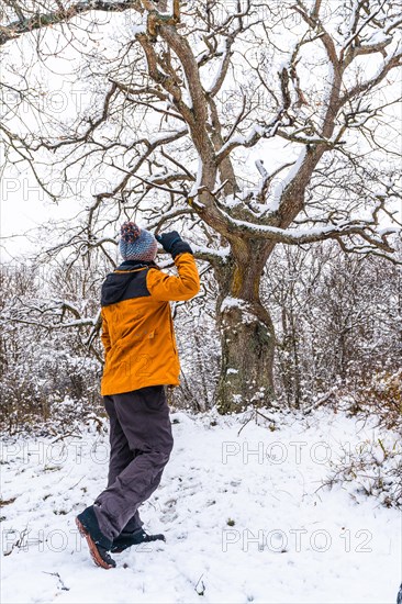 A young woman in a yellow jacket under a beautiful giant tree frozen by the winter cold. Snow in the town of Opakua near Vitoria in Araba