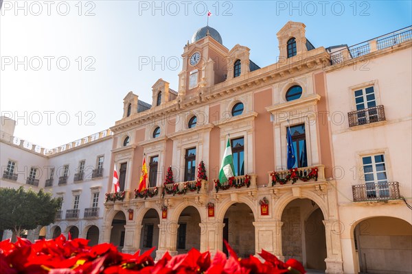 Red flowers in the town hall square of the city of Almeria