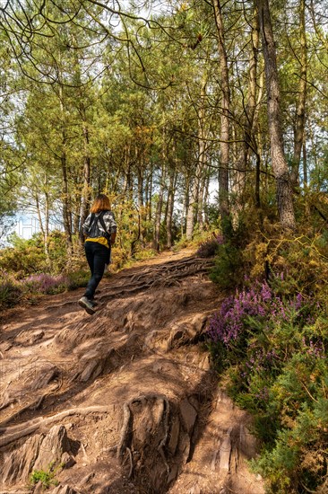 A young woman on the trail in the Broceliande forest