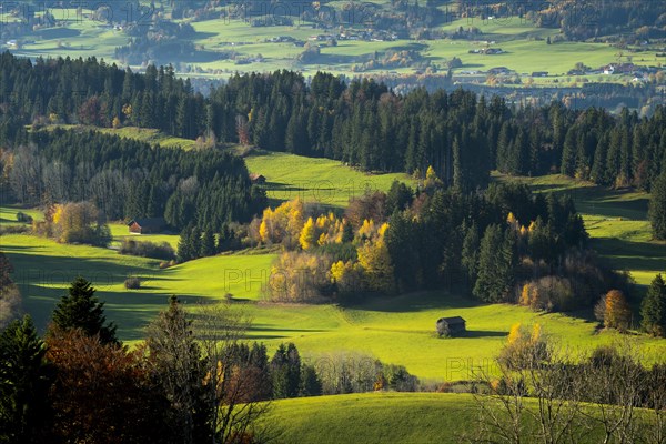 Landscape in the Allgaeu. Meadows and forest with a small wooden hut