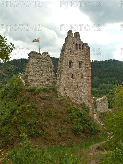 Schenkenburg Ruin