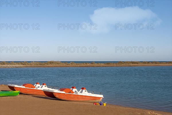 Pedal boats