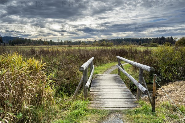 Autumn landscape in the Bodenmoeser nature and landscape conservation area