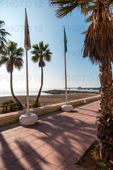 Palm trees on the Playa de San Miguel in the city of Almeria