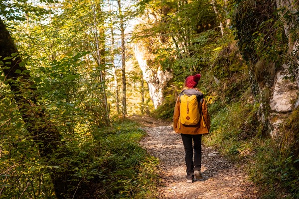 Path towards the suspension bridge of Holtzarte