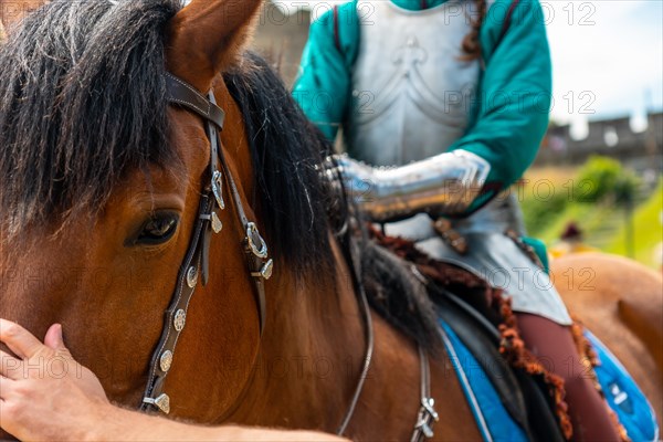 Horse and medieval armor in the castle of Fougeres. Brittany region