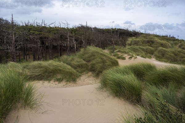 Traeth Llanddwyn Beach