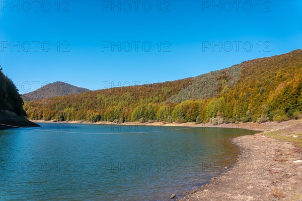 Irati forest or jungle in autumn