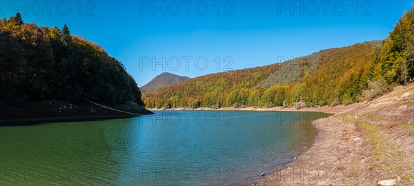 Irati forest or jungle in autumn