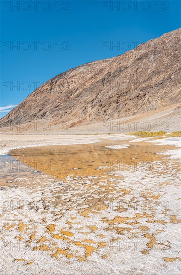 Vertical panoramic of the water in the immense white salt flat of Badwater Basin