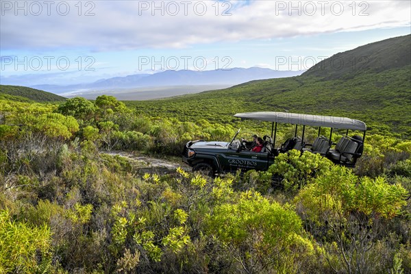 Pickup truck with tourists on a flower safari