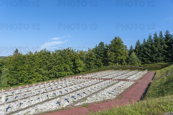 Cemetery at the former Natzweiler-Struthof concentration camp
