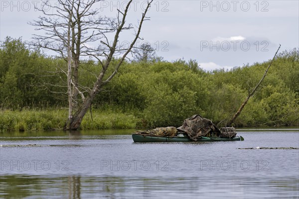 Nature park photographer at work