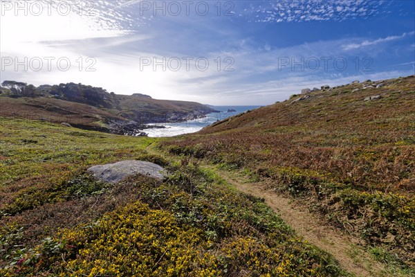 Heathland and rocky coast at Pointe du Millier