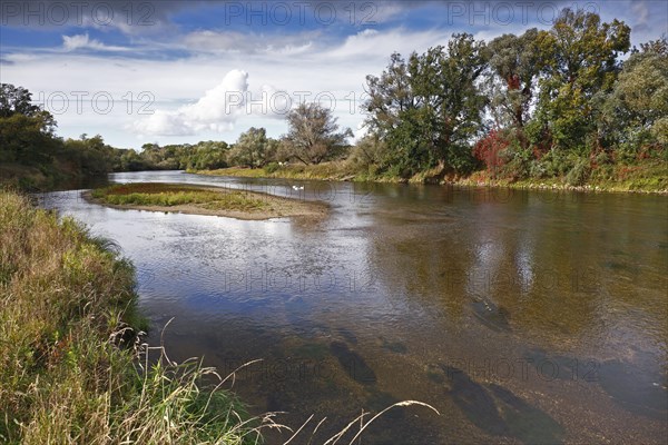 Gravel bank in the Mulde River