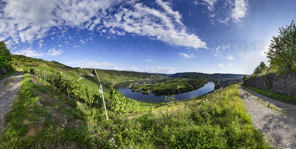 View from the vineyard to the Modelschleife near Kroev