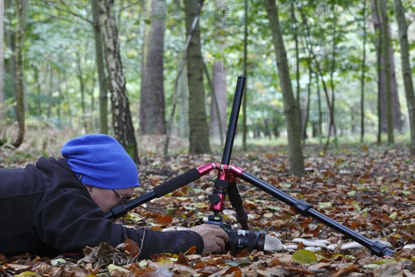 Nature park photographer at work