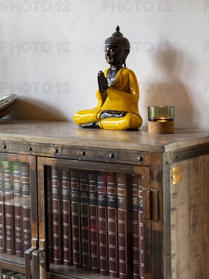 Books and encyclopaedias in old glass case with metal