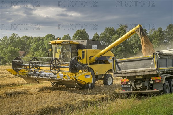 Combine harvester