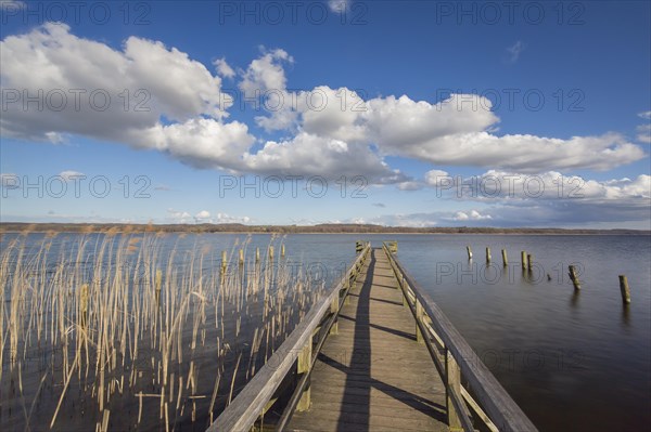 Jetty at Lake Ratzeburg