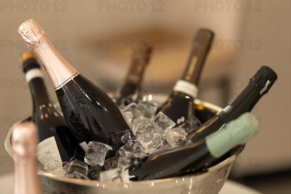 Bottles of champagne in a bucket filled with ice. Mid shot
