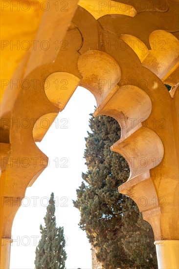 Detail of precious Arabic windows and doors inside the Alcazaba in the city of Malaga