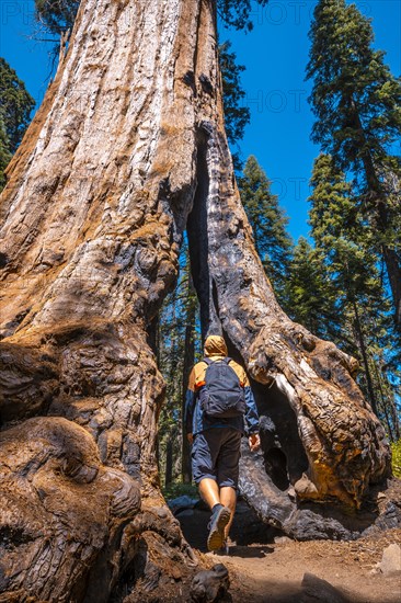 Sequoia National Park