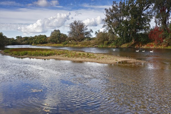 Gravel bank in the Mulde River