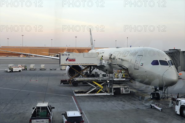 Dreamliner Boeing 787 Etihad Airways at the gate