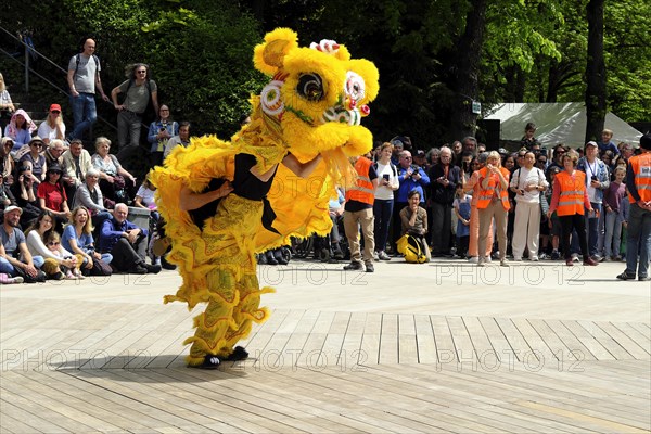 Chinese dragon at the Vesak festival of the Thai community in the Westpark