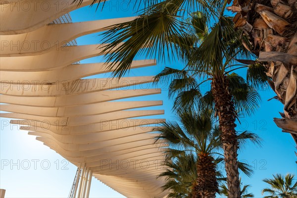 Detail of the structure and palm trees of the promenade called Paseo del Muelle Uno in the city of Malaga