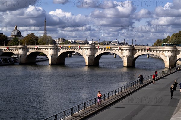 View of the Pont Neuf bridge