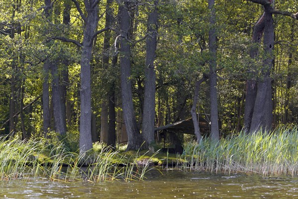 Camp of a nature photographer