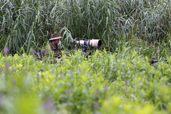 Nature park photographer at work