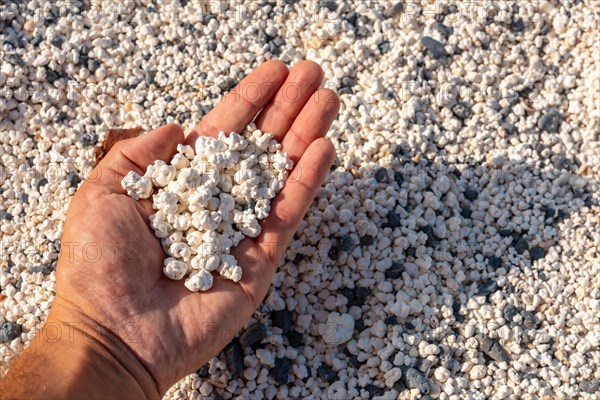 Detail of the stones of Popcorn Beach near the town of Corralejo