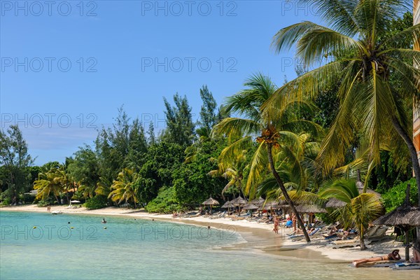 Beach with palm trees Coconut palms
