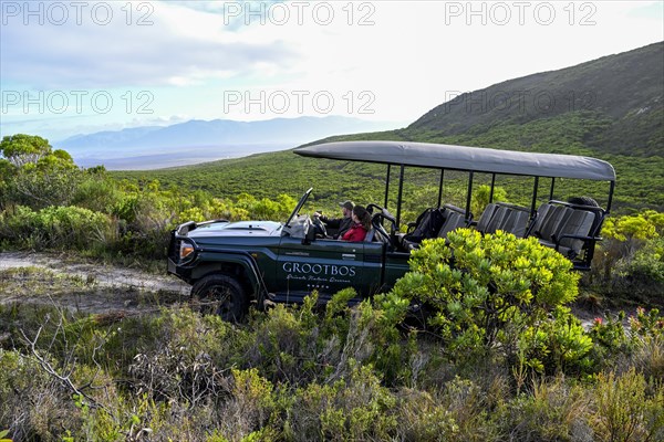 Pickup truck with tourists on a flower safari