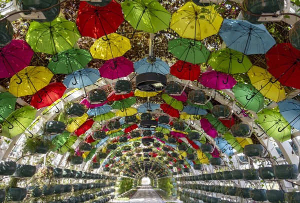 Umbrella Park arch