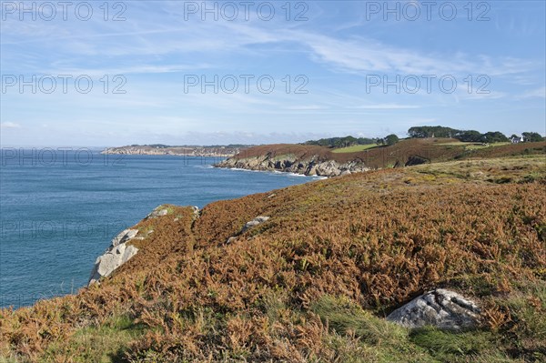 Heathland and rocky coast at Pointe du Millier