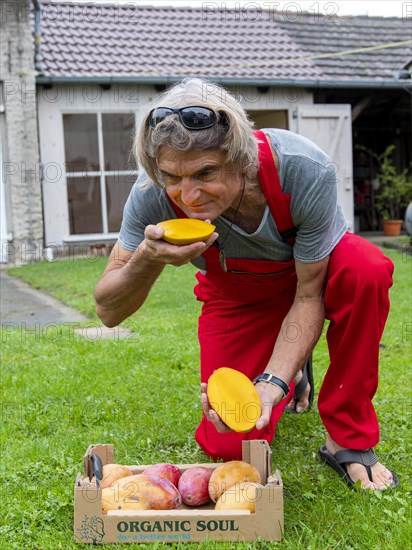 Man smelling sliced organic mango with yellow flesh