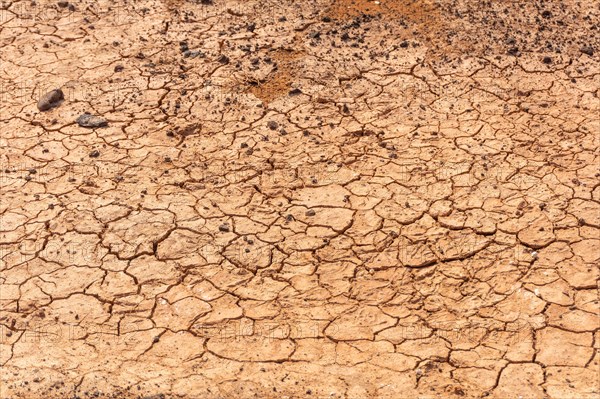 Much drought in Las Salinas de Lobos on the Isla de Lobos