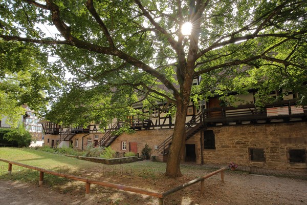 Half-timbered house Haberkasten in backlight with tree of the former Cistercian abbey