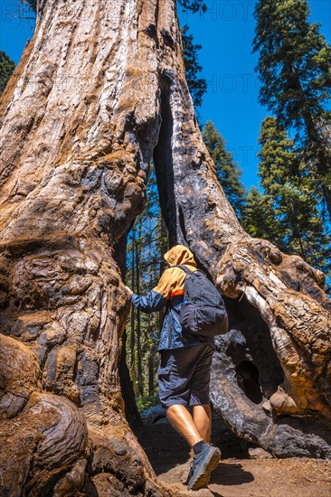 Sequoia National Park