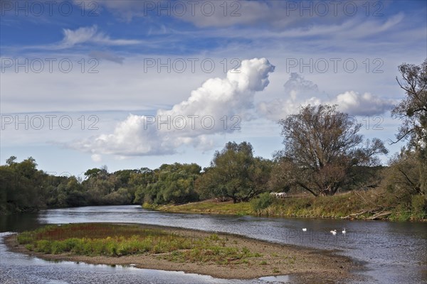 Gravel bank in the Mulde River