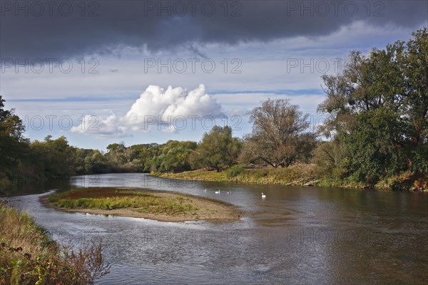 Gravel bank in the Mulde River