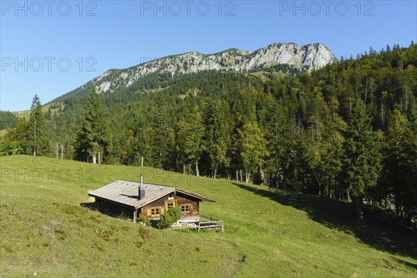 Orterer Alm in front of Benediktenwand