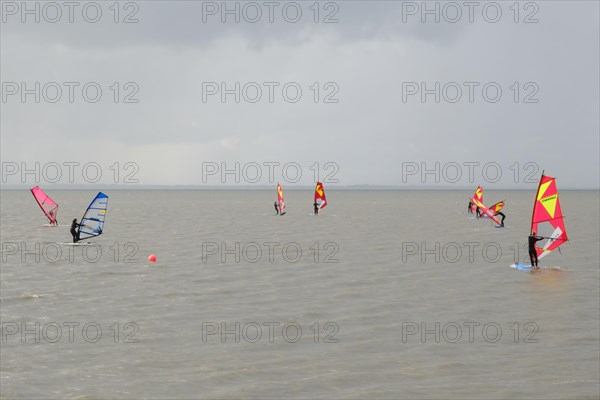 Surfers of a surf school on the sea