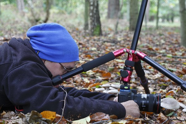 Nature park photographer at work